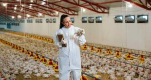 SE BUSCA PERSONAL C/S EXPERINCIA PARA TRABAJAR EN GRANJAS.